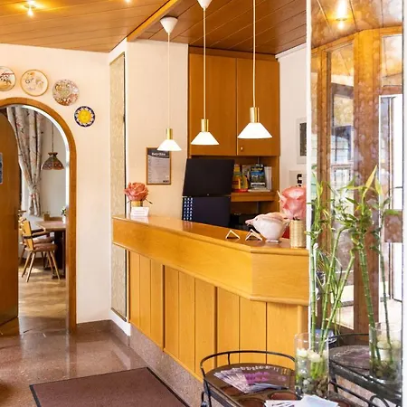 Garni Lehrertal Гостевой дом Ульм